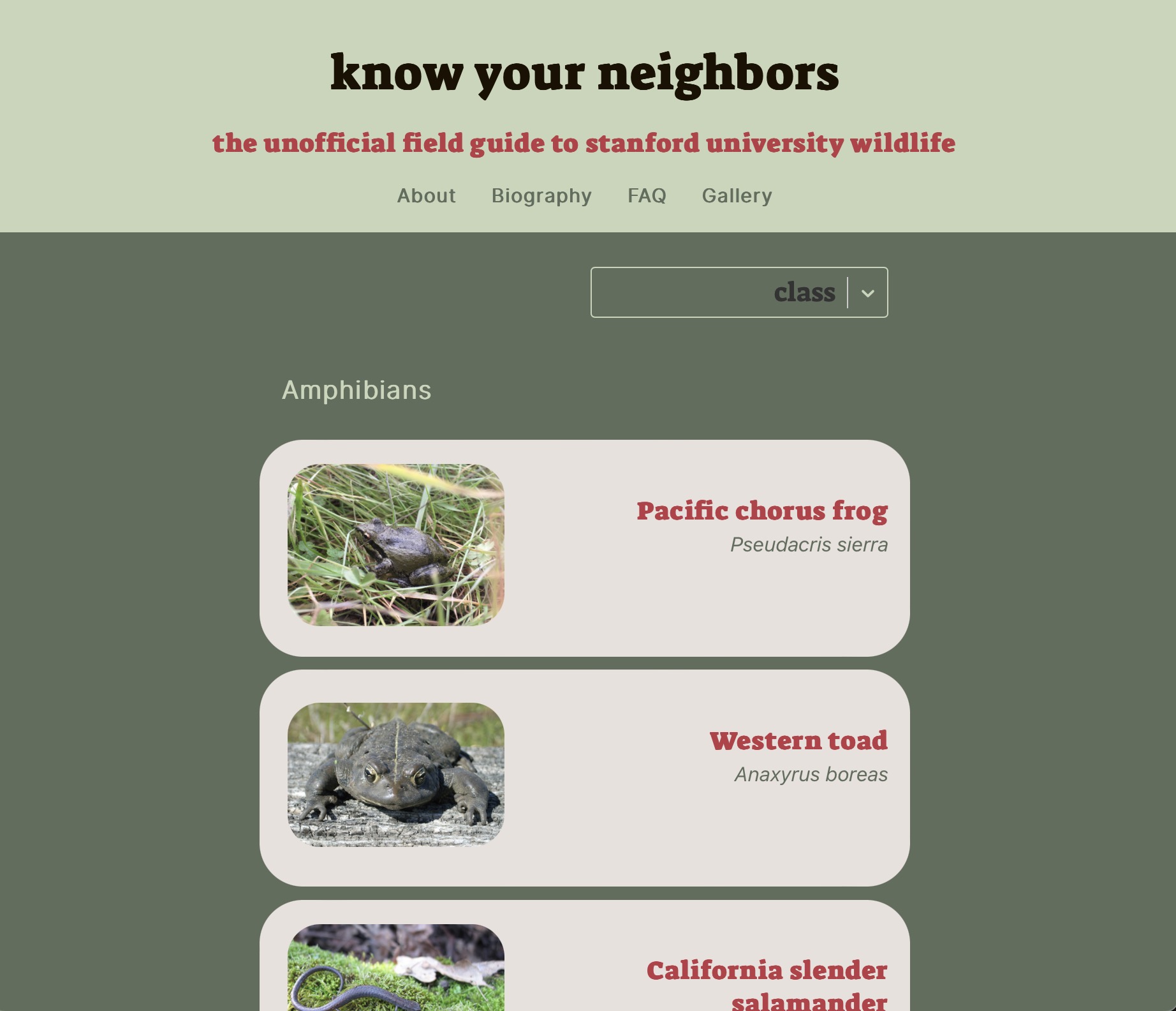 front page of Know Your Neighbors website