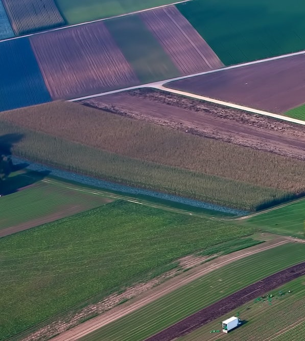 crop fields from above